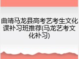 曲靖马龙县高考艺考生文化课补习班推荐(马龙艺考文化补习)