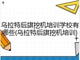乌拉特后旗挖机培训学校有哪些(乌拉特后旗挖机培训)