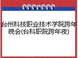 台州科技职业技术学院跨年晚会(台科职院跨年夜)