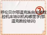 呼伦贝尔鄂温克族自治旗数控机床培训机构哪里学(鄂温克数控培训)