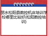 丽水松阳县数控机床培训学校哪里比较好(松阳数控培训)