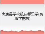 高唐县学挖机在哪里学(高唐学挖机)