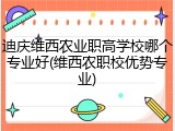 迪庆维西农业职高学校哪个专业好(维西农职校优势专业)