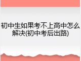 初中生如果考不上高中怎么解决(初中考后出路)