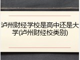 泸州财经学校是高中还是大学(泸州财经校类别)