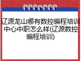 辽源龙山哪有数控编程培训中心中职怎么样(辽源数控编程培训)