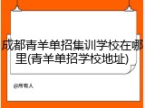 成都青羊单招集训学校在哪里(青羊单招学校地址)