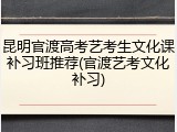 昆明官渡高考艺考生文化课补习班推荐(官渡艺考文化补习)