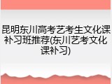 昆明东川高考艺考生文化课补习班推荐(东川艺考文化课补习)