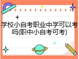 学校小自考职业中学可以考吗(职中小自考可考)