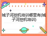 城子河挖机培训哪里有(城子河挖机培训)