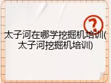 太子河在哪学挖掘机培训(太子河挖掘机培训)