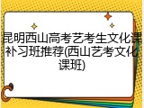 昆明西山高考艺考生文化课补习班推荐(西山艺考文化课班)