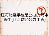 红河财经学校是公办的吗中职生(红河财经公办中职)