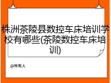 株洲茶陵县数控车床培训学校有哪些(茶陵数控车床培训)