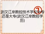 武汉江岸数控技术学校中专还是大专(武汉江岸数控学历)