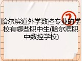哈尔滨道外学数控专业的学校有哪些职中生(哈尔滨职中数控学校)