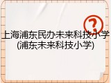 上海浦东民办未来科技小学(浦东未来科技小学)