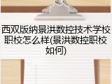 西双版纳景洪数控技术学校职校怎么样(景洪数控职校如何)