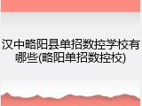 汉中略阳县单招数控学校有哪些(略阳单招数控校)