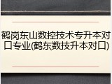 鹤岗东山数控技术专升本对口专业(鹤东数技升本对口)
