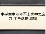 中学生中考考不上高中怎么办(中考落榜出路)