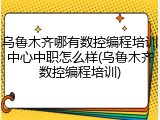 乌鲁木齐哪有数控编程培训中心中职怎么样(乌鲁木齐数控编程培训)