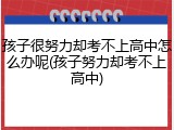 孩子很努力却考不上高中怎么办呢(孩子努力却考不上高中)