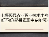 十堰郧县农业职业技术中专好不好(郧县农职中专如何)