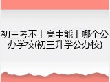 初三考不上高中能上哪个公办学校(初三升学公办校)