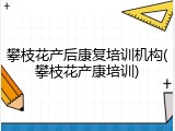 攀枝花产后康复培训机构(攀枝花产康培训)