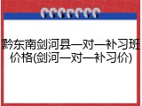 黔东南剑河县一对一补习班价格(剑河一对一补习价)