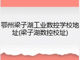 鄂州梁子湖工业数控学校地址(梁子湖数控校址)