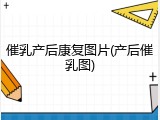 催乳产后康复图片(产后催乳图)