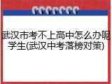 武汉市考不上高中怎么办呢学生(武汉中考落榜对策)