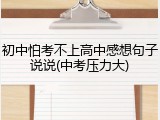 初中怕考不上高中感想句子说说(中考压力大)
