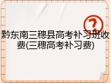 黔东南三穗县高考补习班收费(三穗高考补习费)