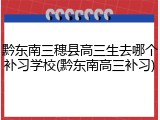 黔东南三穗县高三生去哪个补习学校(黔东南高三补习)