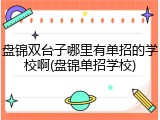 盘锦双台子哪里有单招的学校啊(盘锦单招学校)