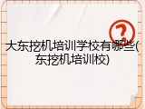 大东挖机培训学校有哪些(东挖机培训校)