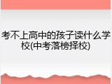 考不上高中的孩子读什么学校(中考落榜择校)