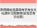 黔西南安龙县高考艺考生文化课补习班推荐(安龙艺考文化班)