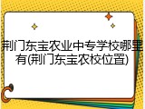 荆门东宝农业中专学校哪里有(荆门东宝农校位置)
