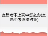 宜昌考不上高中怎么办(宜昌中考落榜对策)