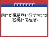 铜仁松桃精品补习学校地址(松桃补习校址)
