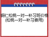 铜仁松桃一对一补习班价格(松桃一对一补习费用)