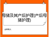 母猪及其产后护理(产后母猪护理)
