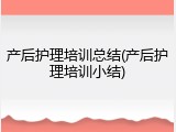 产后护理培训总结(产后护理培训小结)