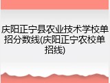 庆阳正宁县农业技术学校单招分数线(庆阳正宁农校单招线)