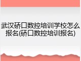 武汉硚口数控培训学校怎么报名(硚口数控培训报名)